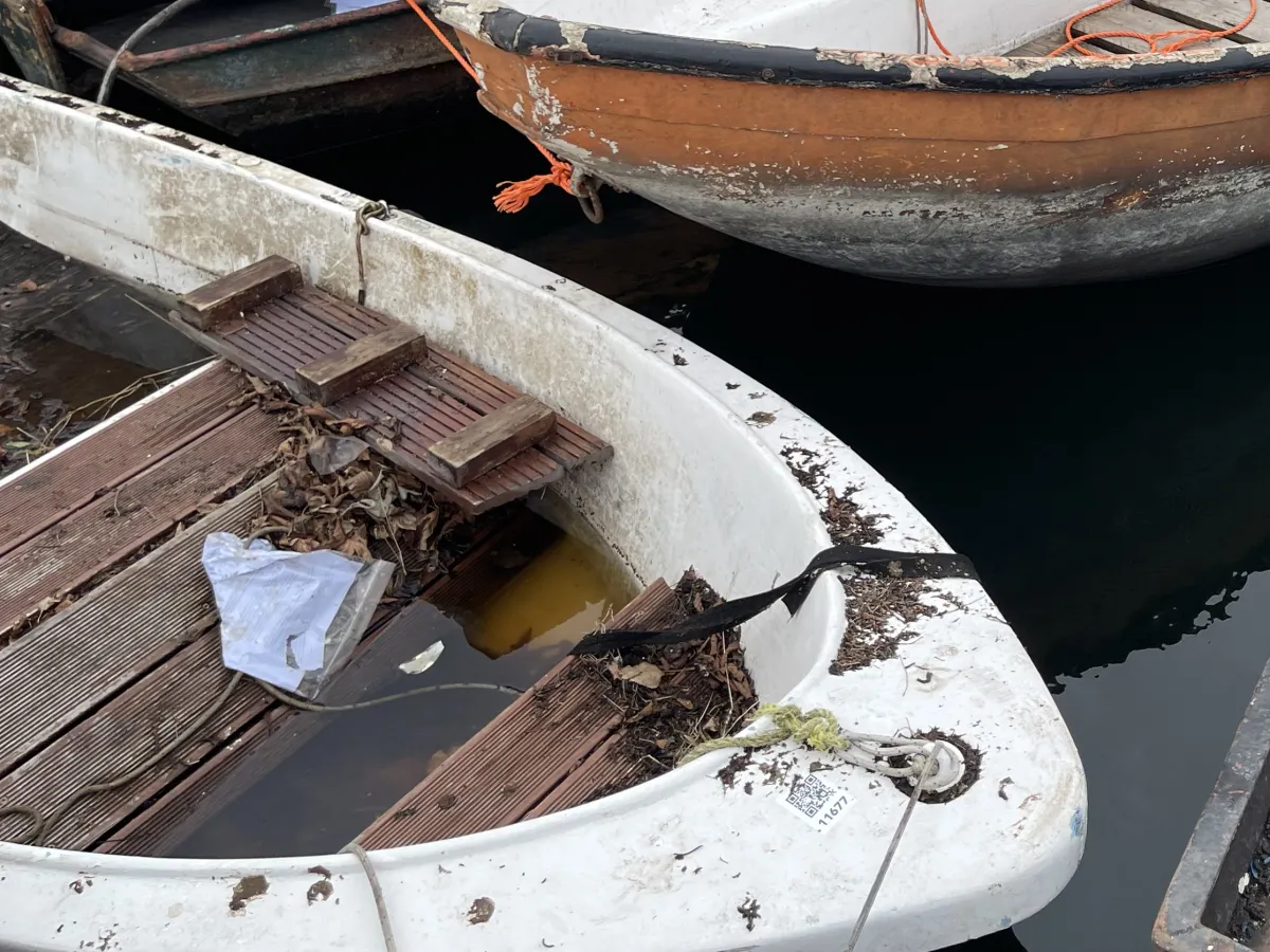 Polyester Budgetboat Motorboat 480