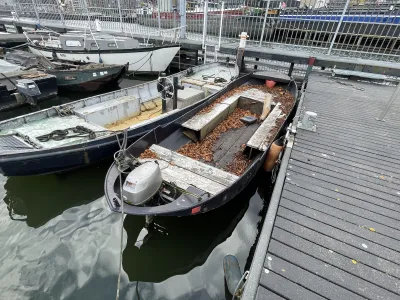 Steel Budgetboat Tuindersvlet 550 Photo 4