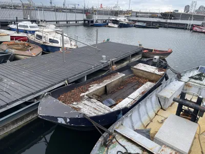 Steel Budgetboat Tuindersvlet 550 Photo 7