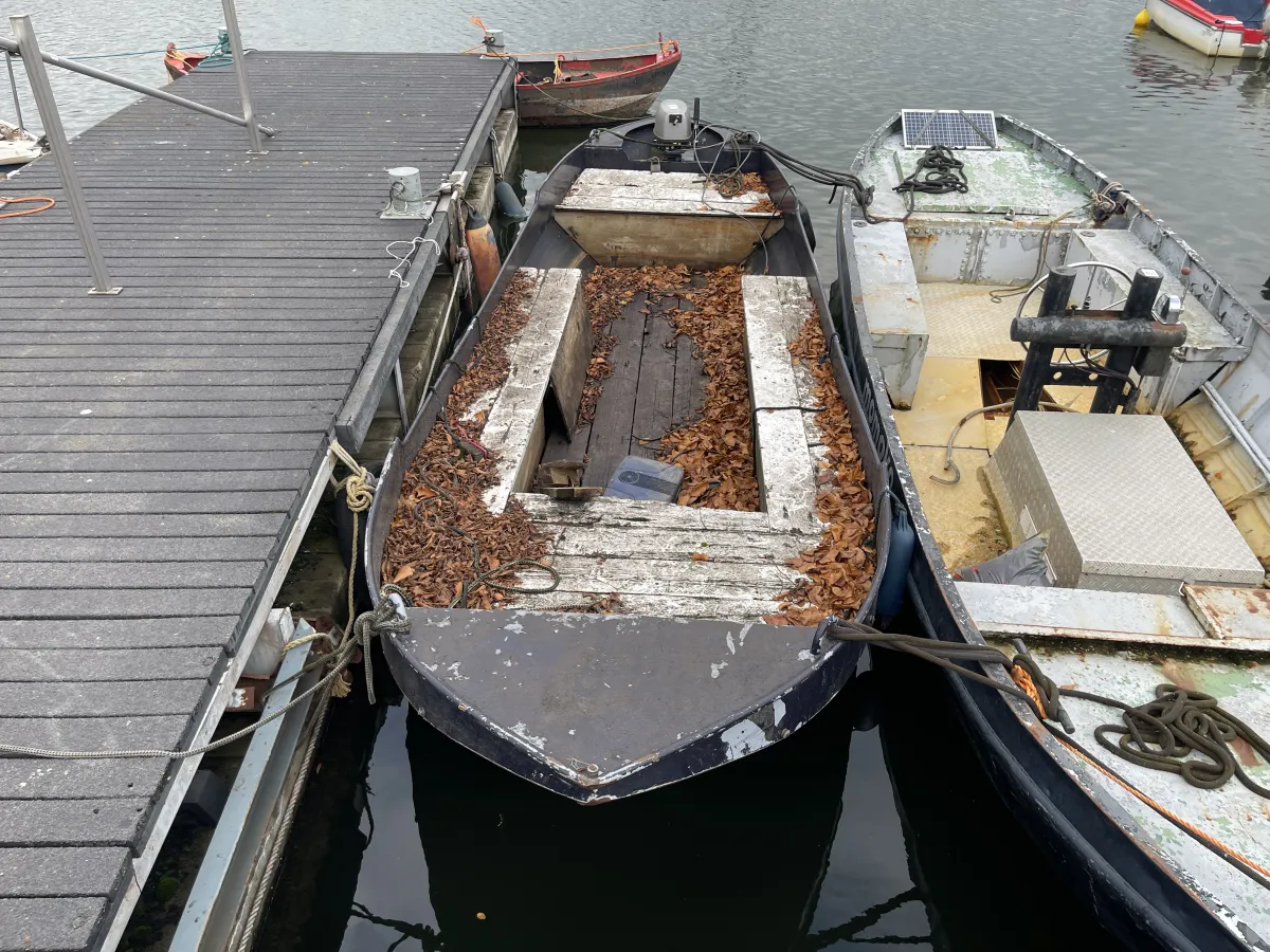 Steel Budgetboat Tuindersvlet 550
