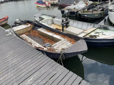 Steel Budgetboat Tuindersvlet 550 Photo 9