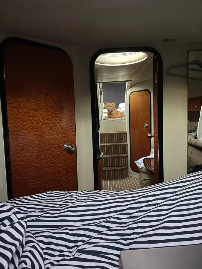 Polyester Motorboat Princess V39