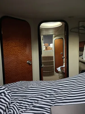 Polyester Motorboat Princess V39 Photo 11