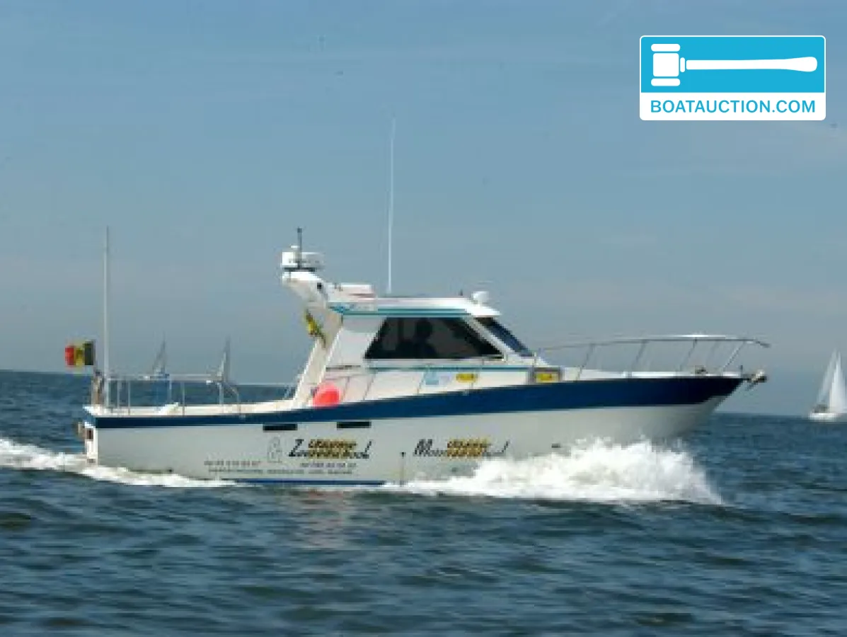 Thumbnail - Teaser 31