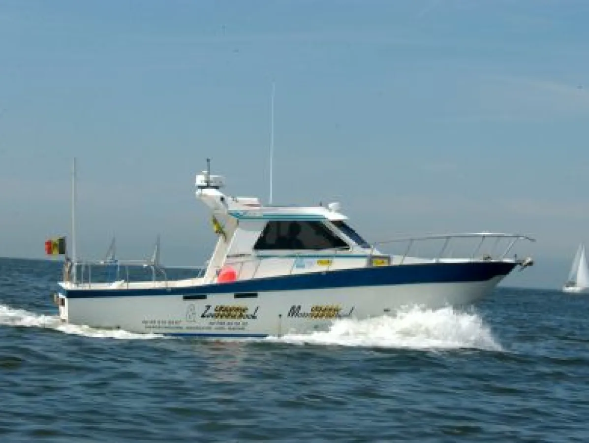 Polyester Motorboot Teaser 31