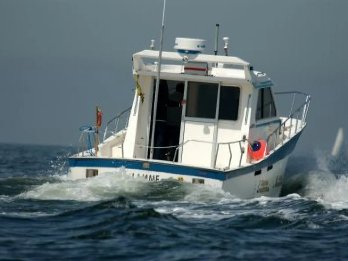 Polyester Motorboot Teaser 31