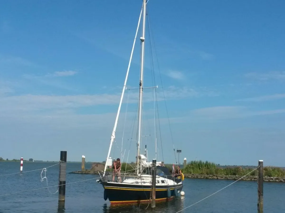 Polyester Zeilboot Contest 31 ft