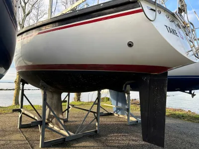 Polyester Sailboat Dufour 31 Photo 2