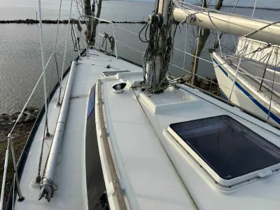 Polyester Sailboat Dufour 31 Photo 9