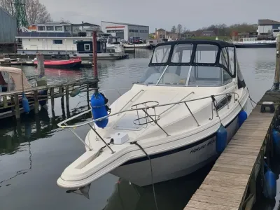 Polyester Speedboot Monterey 276 Foto 1