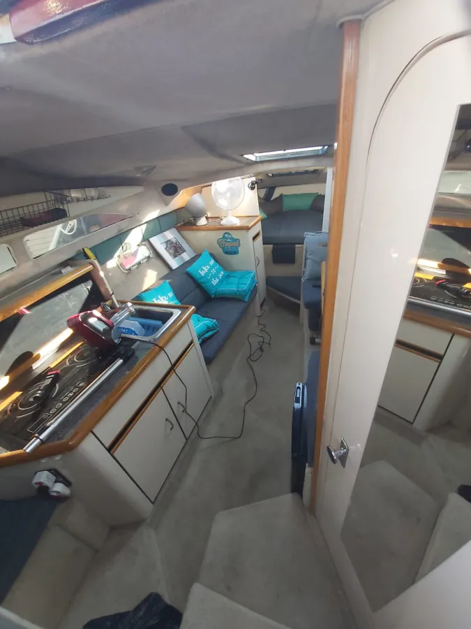 Polyester Motorboat Bayliner 2655 wide body