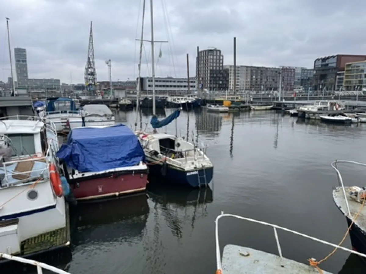 Polyester Budgetboat Cabin sailboat 650