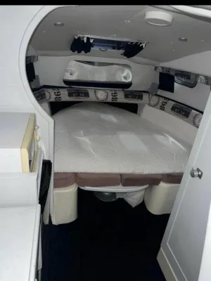 Polyester Motorboot Sealine 215 Foto 6