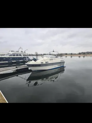 Polyester Motorboot Sealine 215 Foto 20