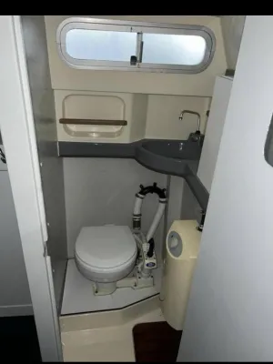 Polyester Motorboot Sealine 215 Foto 26