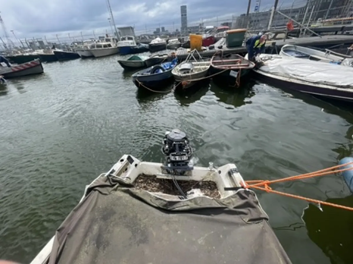 Polyester Budgetboat Sloep 380