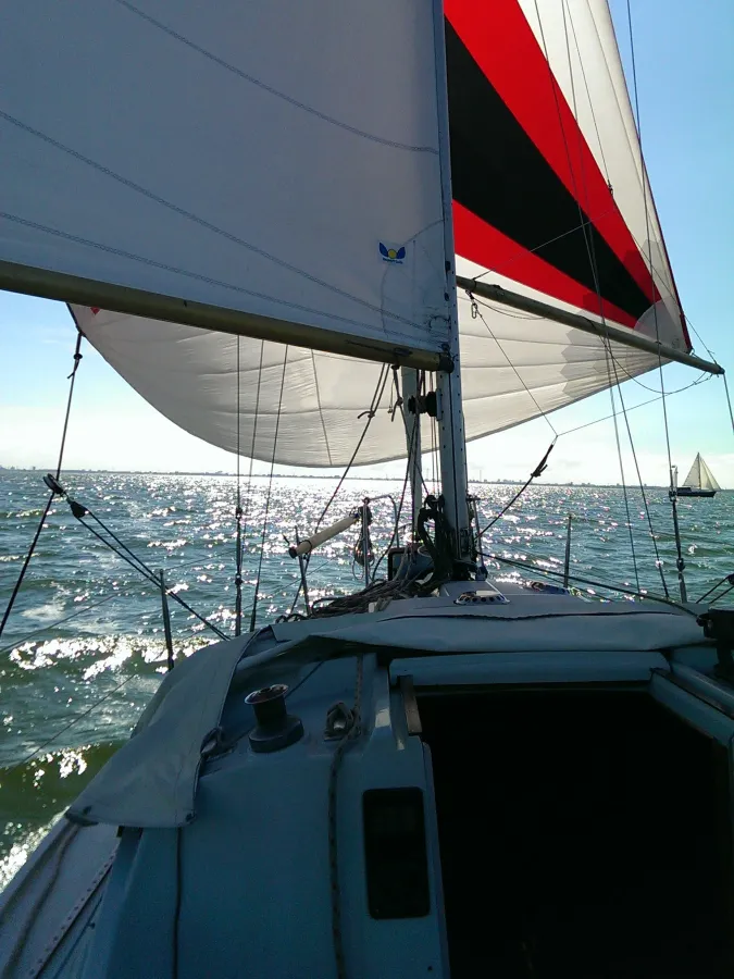 Polyester Zeilboot Camper & Nicholsons 30 mk2