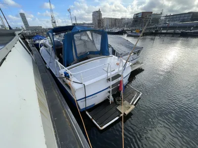 Steel Budgetboat Motorboat 900 Photo 13