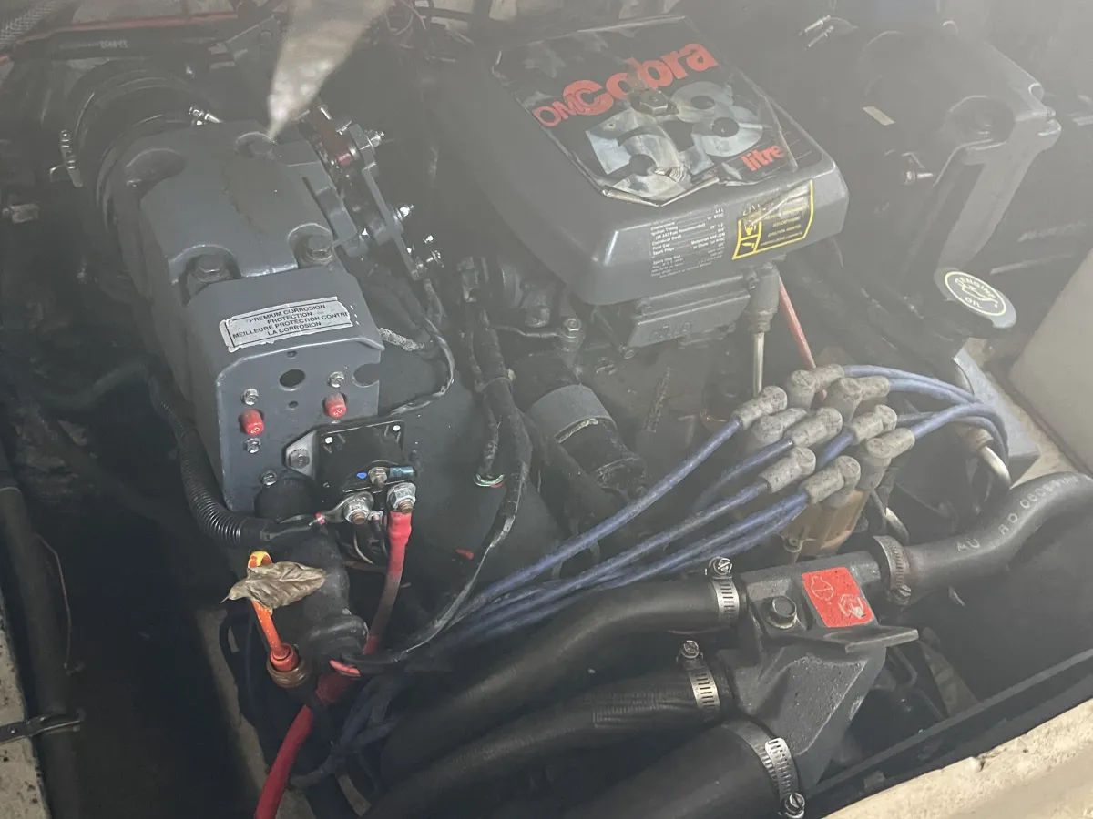 Polyester Budgetboat Bayliner 700