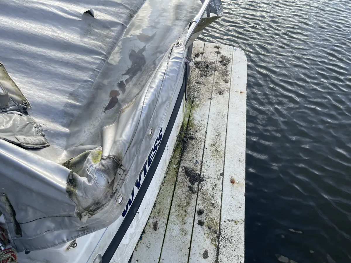 Polyester Budgetboat Bayliner 700