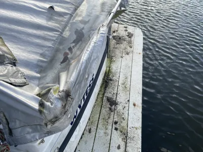 Polyester Budgetboat Bayliner 700 Photo 9