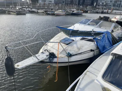 Polyester Budgetboat Bayliner 700 Photo 2