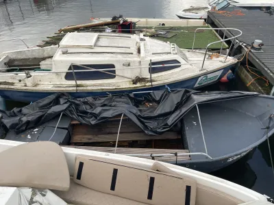 Steel Budgetboat Vlet 380 Photo 6