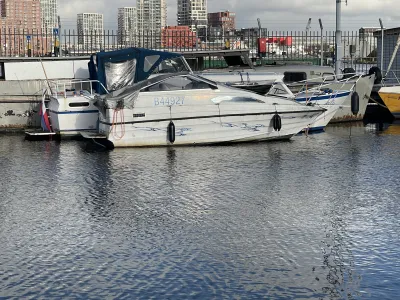 Polyester Budgetboat Bayliner 700 Photo 16