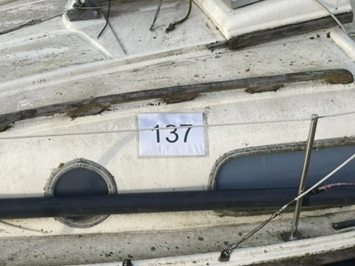 Polyester Budgetboat Cabin sailboat 600