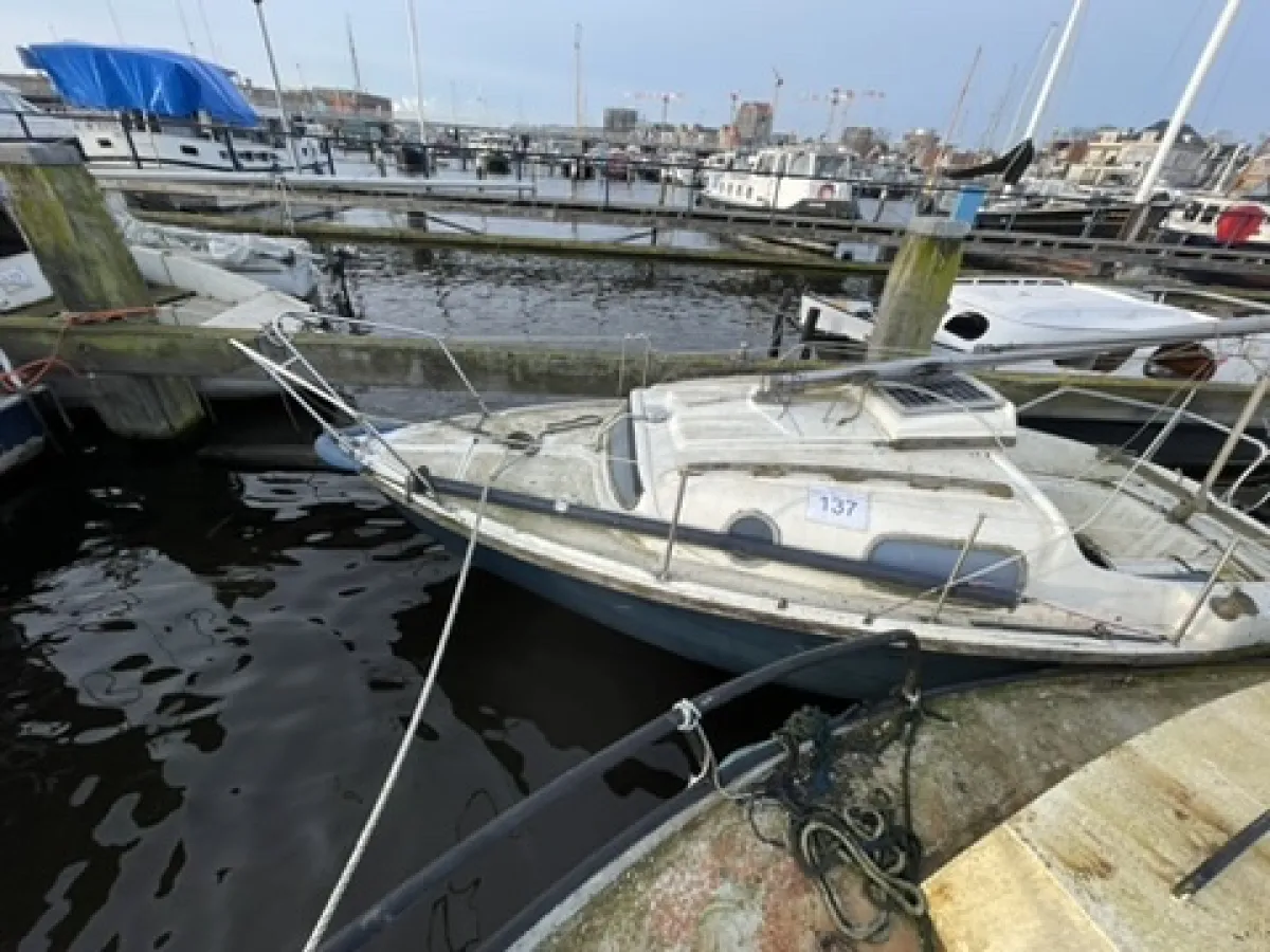 Polyester Budgetboat Cabin sailboat 600