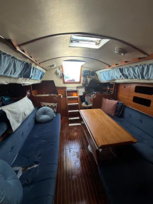 Polyester Zeilboot Sigma 33 OOD Foto 14