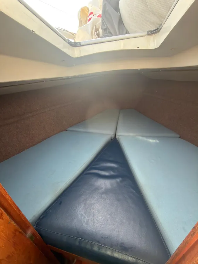 Polyester Zeilboot Sigma 33 OOD