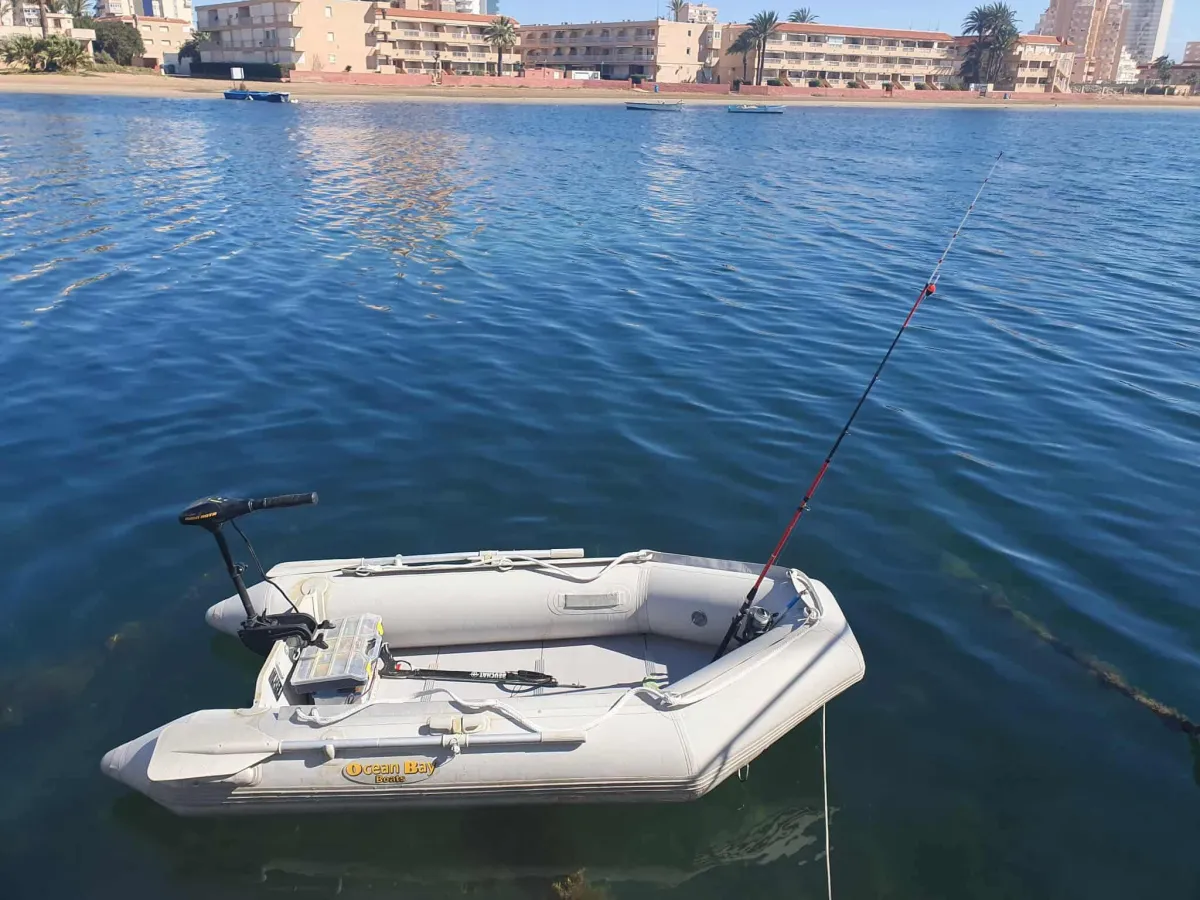 Other material Motorboat Carver Mariner 350