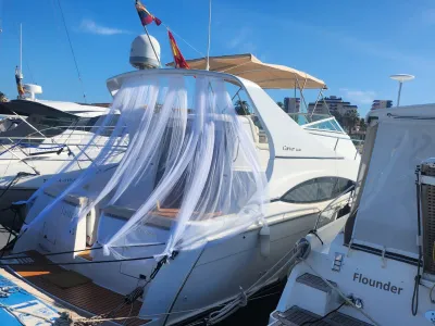 Other material Motorboat Carver Mariner 350 Photo 5