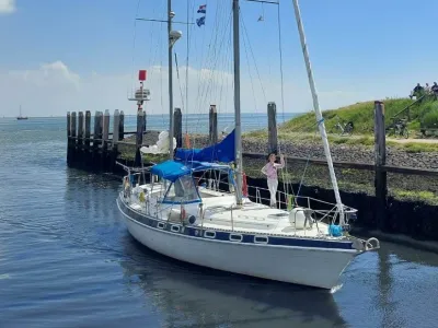 Polyester Zeilboot Morgan Out Island 41 Foto 2