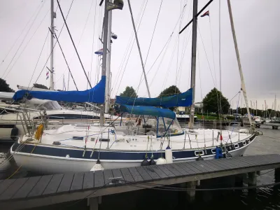 Polyester Zeilboot Morgan Out Island 41 Foto 4