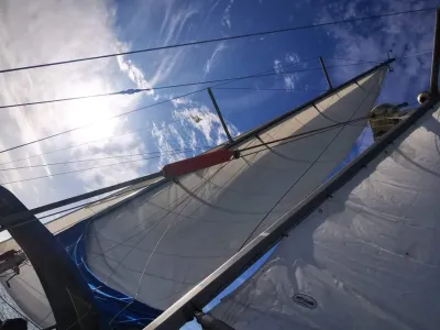 Polyester Zeilboot Morgan Out Island 41 Foto 10