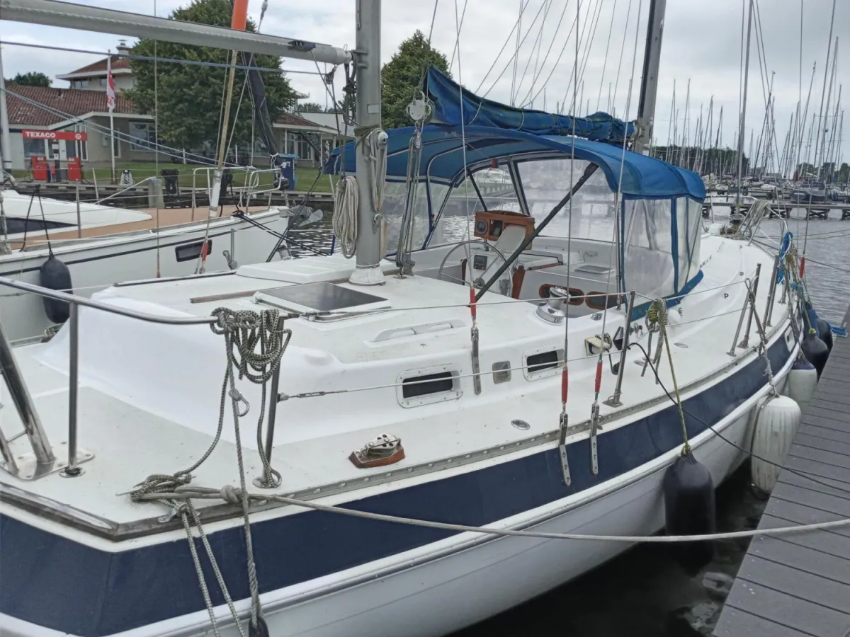 Polyester Zeilboot Morgan Out Island 41