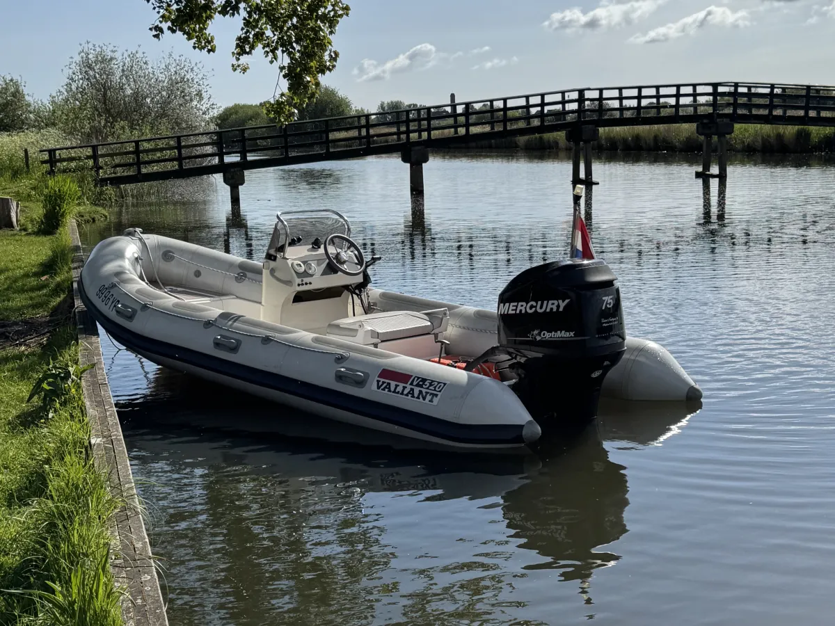 Polyester RIB Valiant Vanguard 520