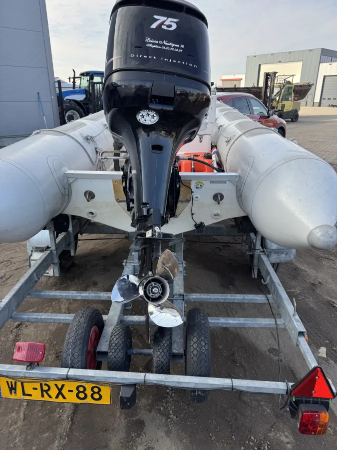 Polyester RIB Valiant Vanguard 520