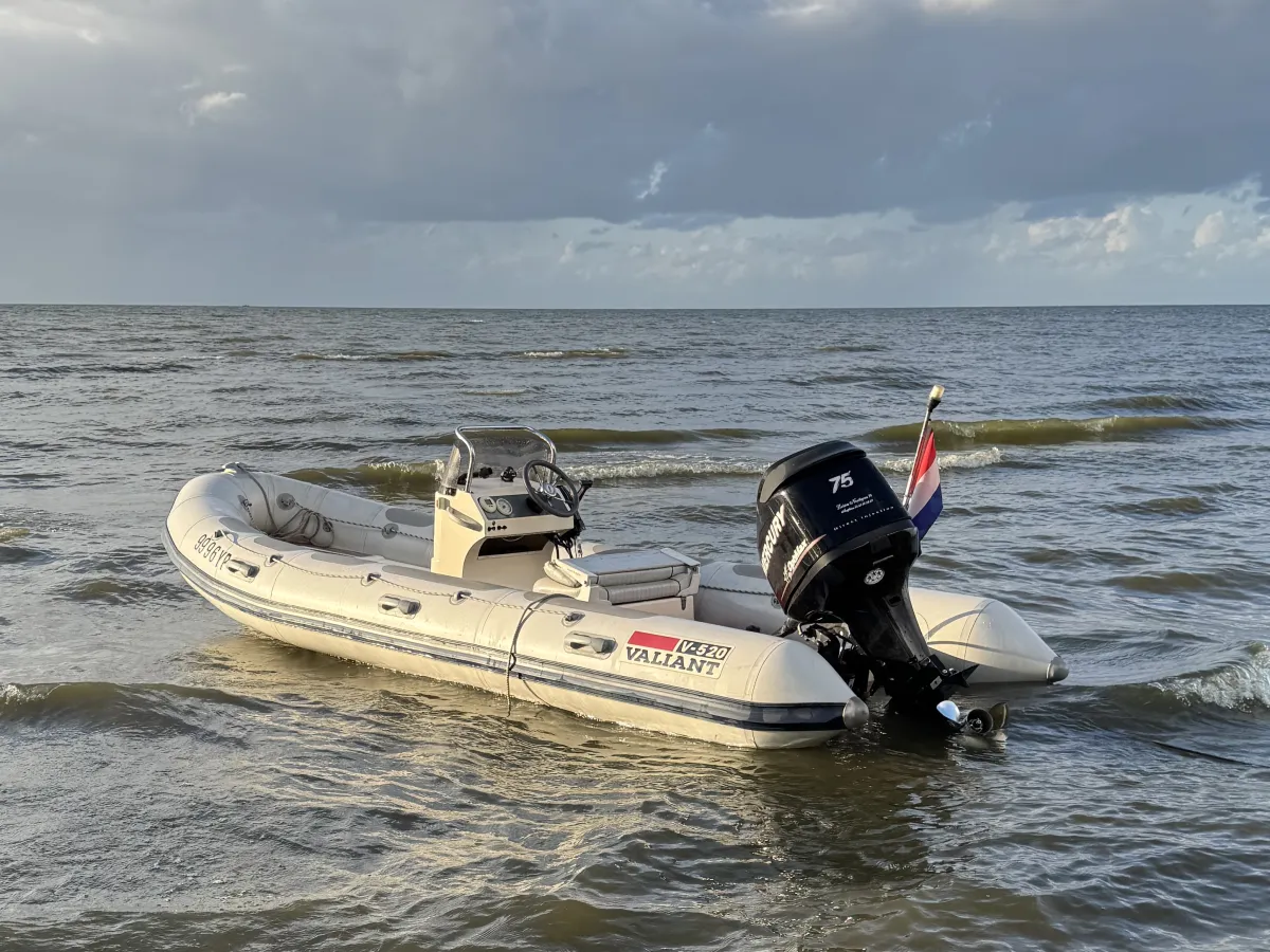 Polyester RIB Valiant Vanguard 520