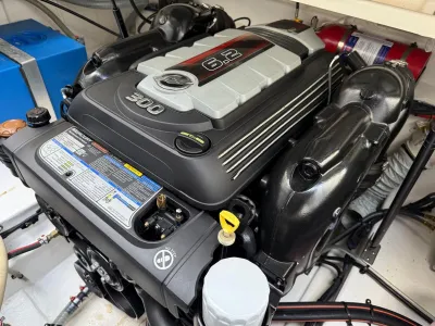 Polyester Motorboot Sea Ray 265 Sundancer Foto 18