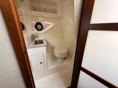 Polyester Motorboot Sea Ray 265 Sundancer Foto 16