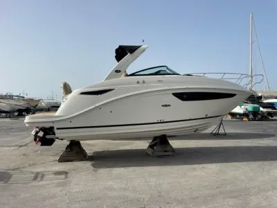 Polyester Motorboot Sea Ray 265 Sundancer Foto 25