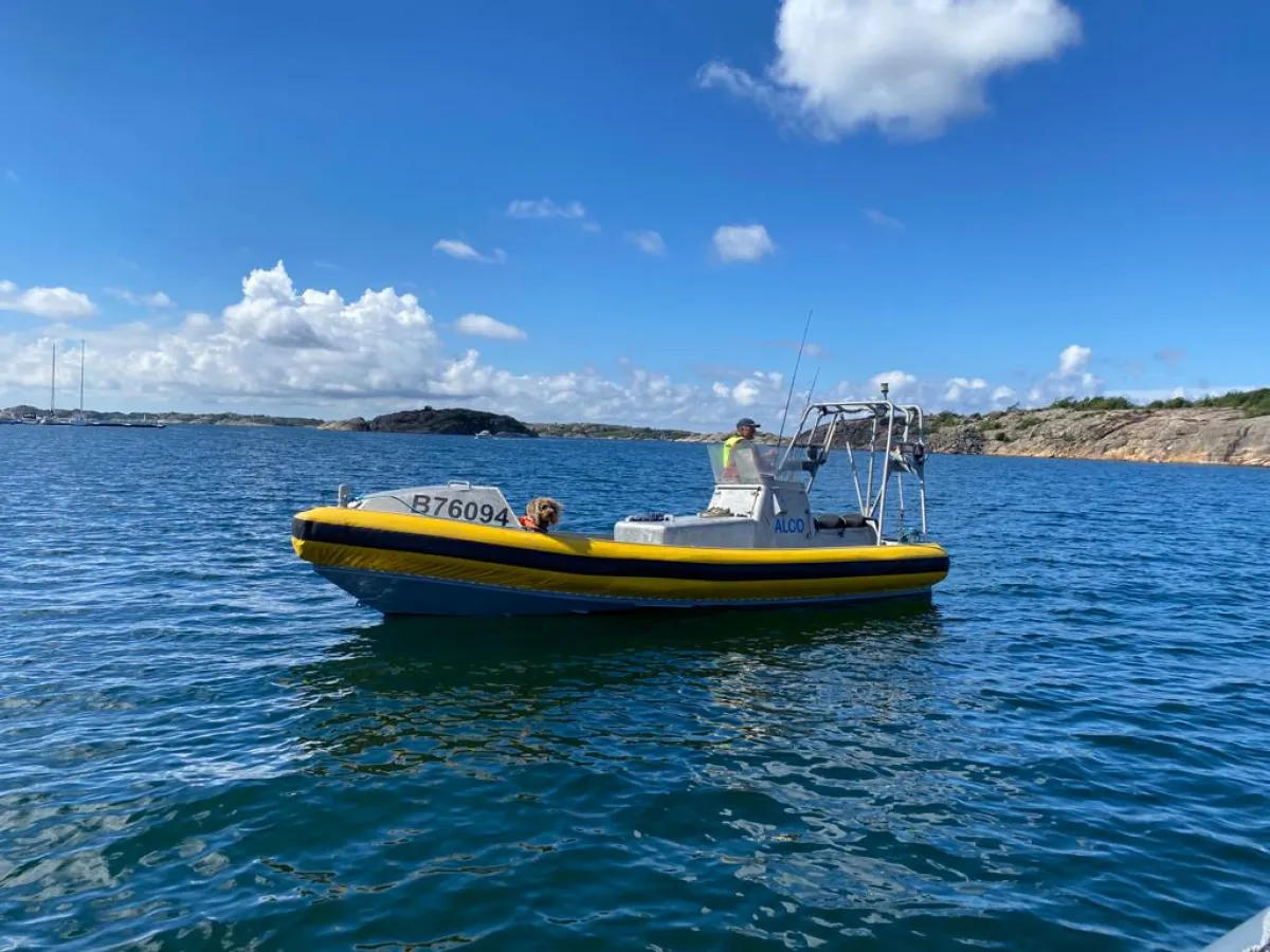 Aluminium Speedboat Springer MP-741