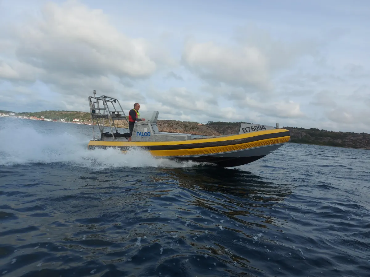 Aluminium Speedboat Springer MP-741