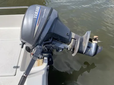 Polyester Budgetboot Twins 380 Foto 5