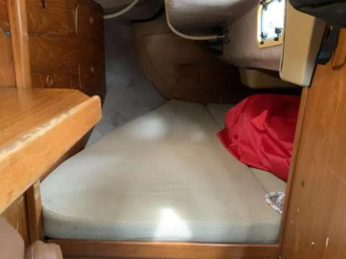 Polyester Sailboat Dehler Optima 101