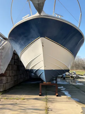 Polyester Speedboot Beneteau Flyer Viva 9.20 Foto 31