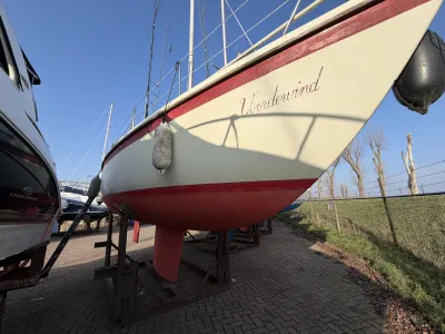 Polyester Sailboat Kievit 27 Photo 22